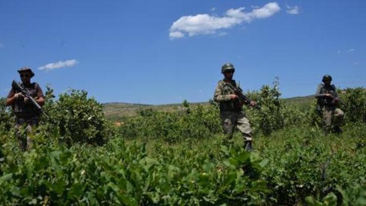 Emniyetin uyuşturucu raporunda korkunç PKK ayrıntısı