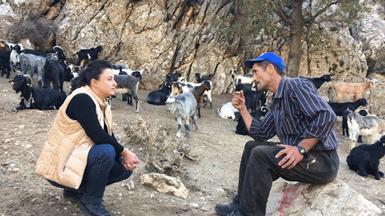 KANUN DEĞİŞTİ ÇOBAN MUTLU