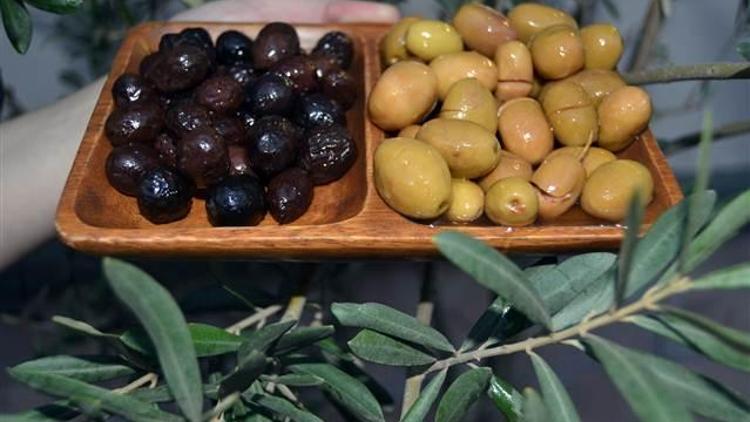 Bakan açıkladı: İşte zeytin rekoltesi