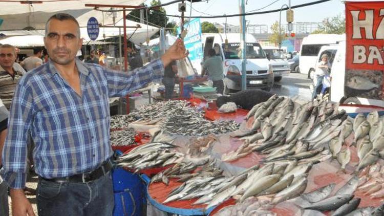 Taze balık için fıskiyeli çözüm