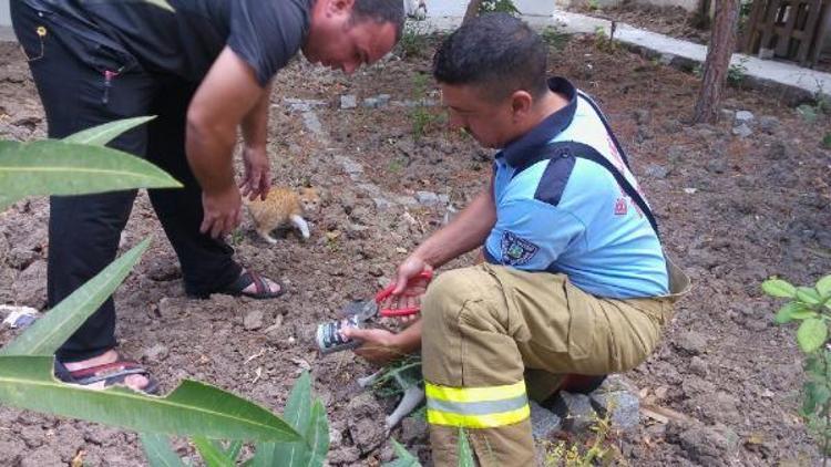 Kafası konserve kutusuna sıkışan kediyi itfaiye kurtardı