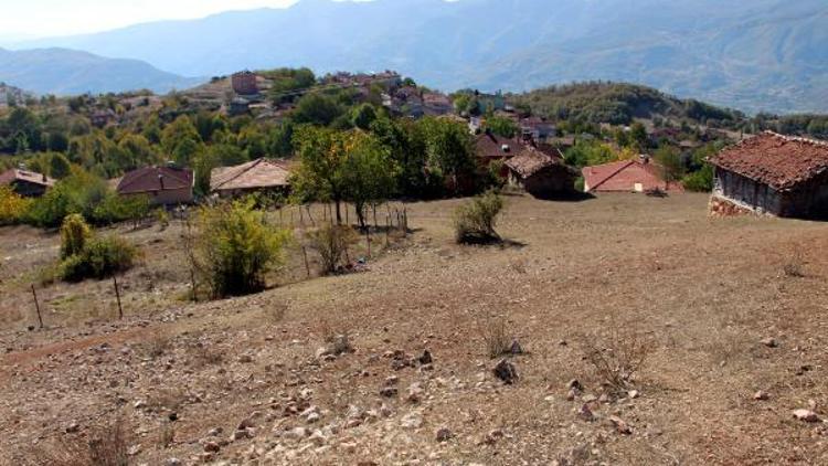 Tokatta köylüler, kurt saldırılarından tedirgin