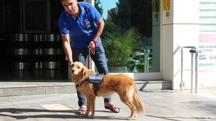 Terk edilen köpeğe sahip çıkıp, iş merkezi güvenliğine aldılar