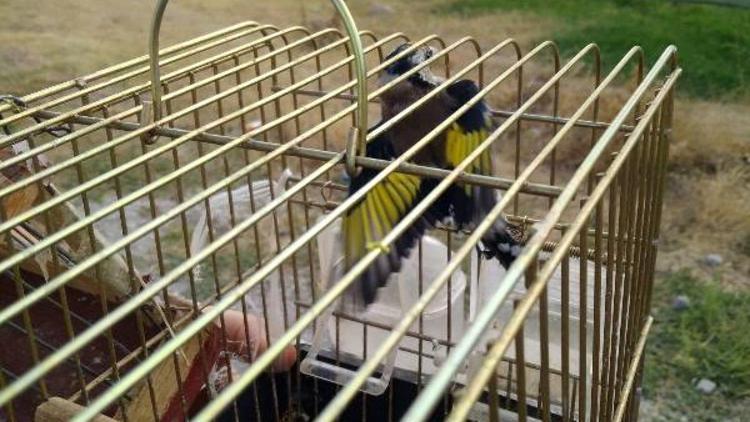 Saka kuşu avcısına bin 654 lira para cezası