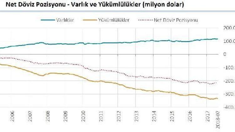 Finans dışı şirketlerin döviz açığı 217.2 milyar dolara yükseldi