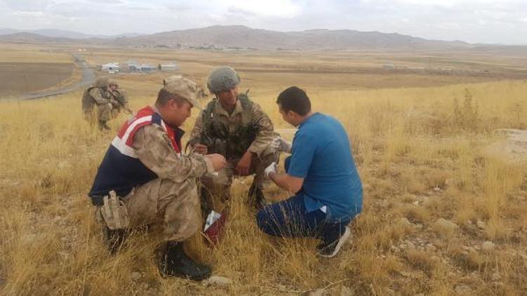 Operasyona giden askerler kırmızı listede bulunan Arap Tavşanı buldu