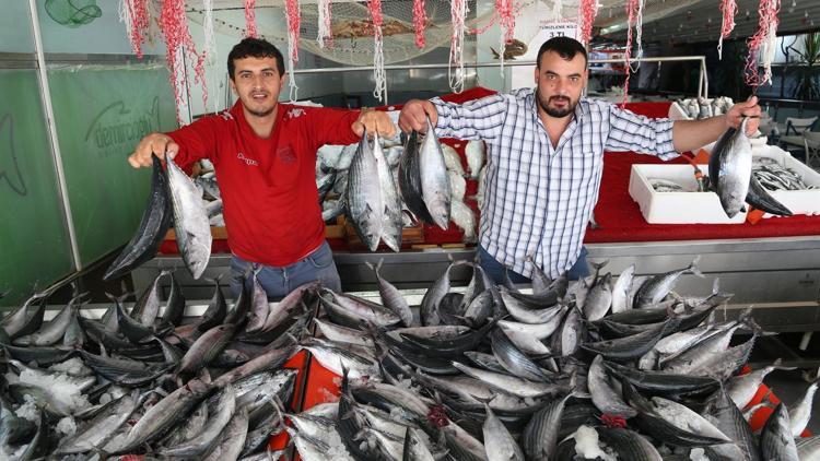 Tezgahlarda balık bolluğu