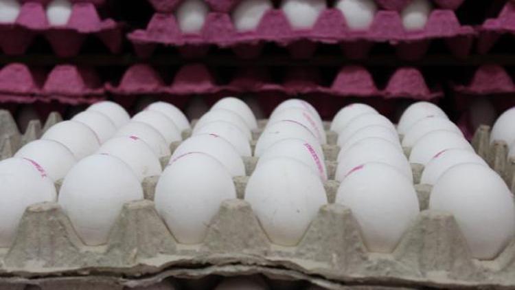 Yumurta Üreticileri Derneği Başkanı Yıldırım: Ambalaj stoklarımız 1 ay yetecek düzeyde