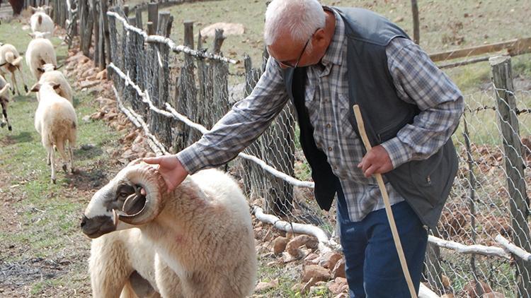 Hayvanların geldiği yöne doğru gittiğinde korkunç manzarayla karşılaştı