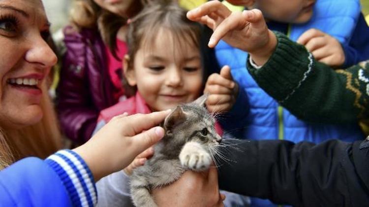 Dünya Hayvanları Koruma Günü Beylikdüzü’nde neşeyle kutlandı