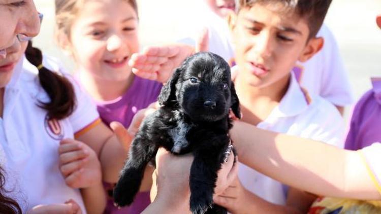 Mersinde 2 bin öğrenci hayvanları ziyaret etti