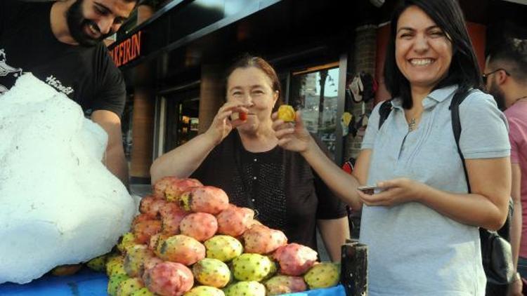 Adana’da yaz bitti, dikenli incir bitmedi