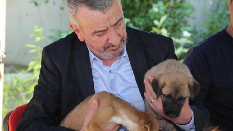 Hayvanseverlerle toplantıya köpekleriyle katıldı