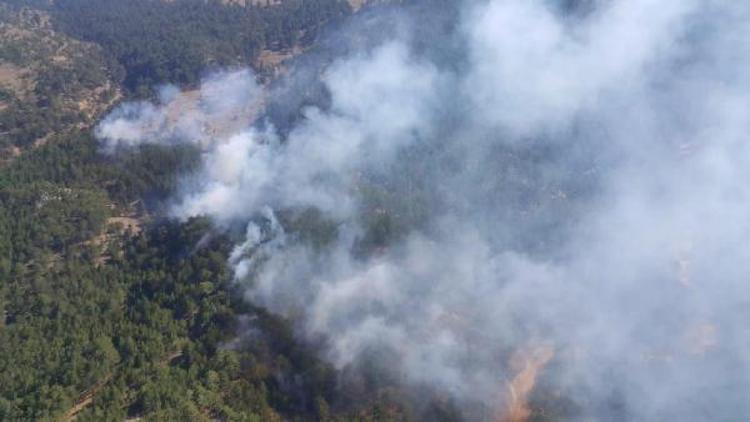 Denizlide karaçam ormanında 6 farklı noktada yangın çıktı