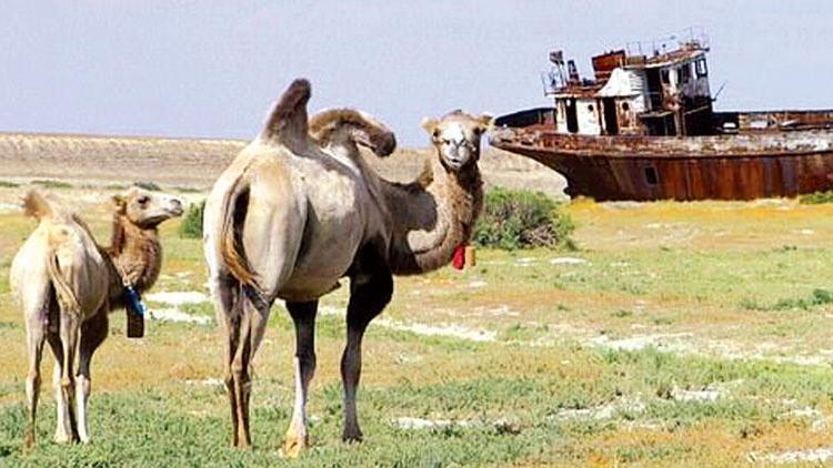 Aral Gölü’nü blucin kuruttu
