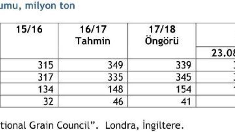 IGC 2018/19 dünya soya üretim öngörüsünü yükseltti