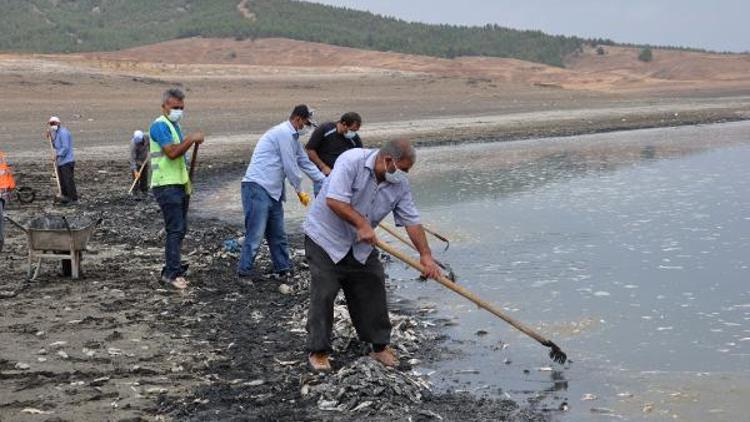 Barajda kıyıya vuran balıklar toplanıp, çukura gömüldü