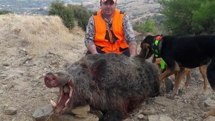 Tarlasına zarar veren 200 kiloluk domuzu vurdu