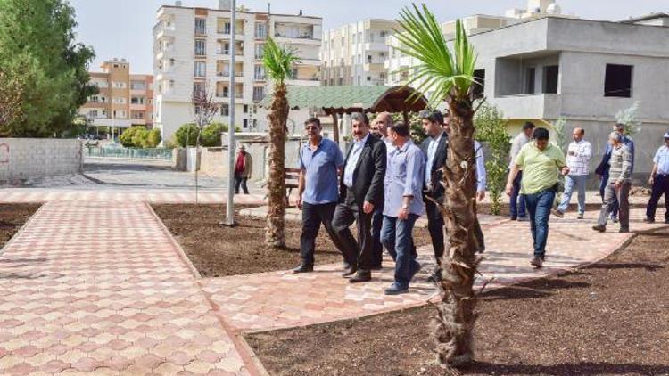 Başkan Atilladar Zeytin Dalı Parkında inceleme