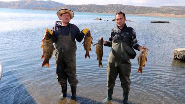 Yozgat’tan Avrupa ve Orta Doğu ülkelerine balık ihracatı