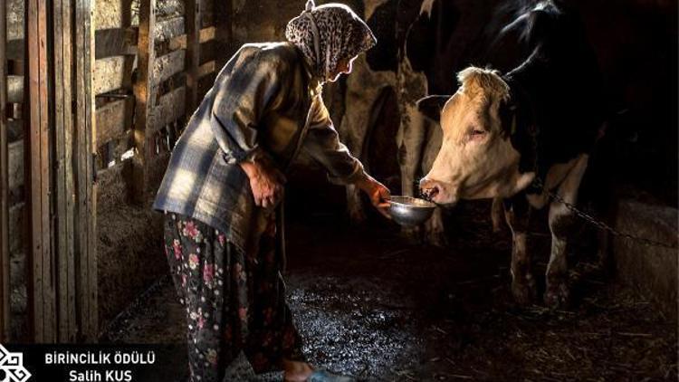 Karesi Belediyesi 4. Ulusal Fotoğraf Yarışması sonuçlandı