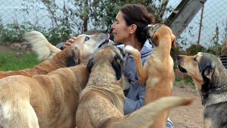 Emekli maaşını sokak köpekleri için harcıyor