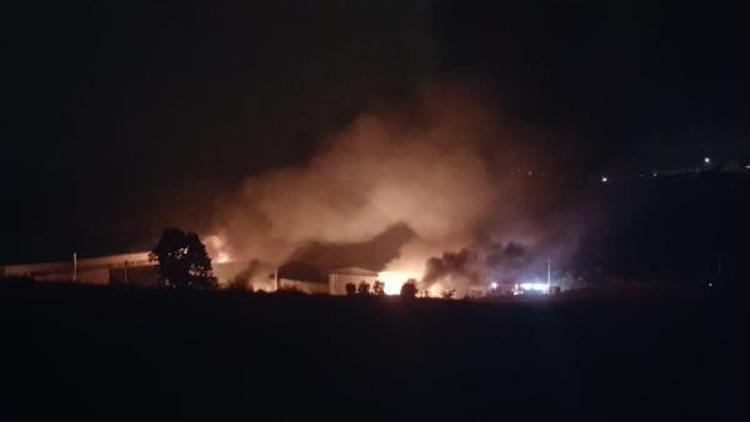 Bursada sanayi sitesinde fabrika yangını korkuttu (1)