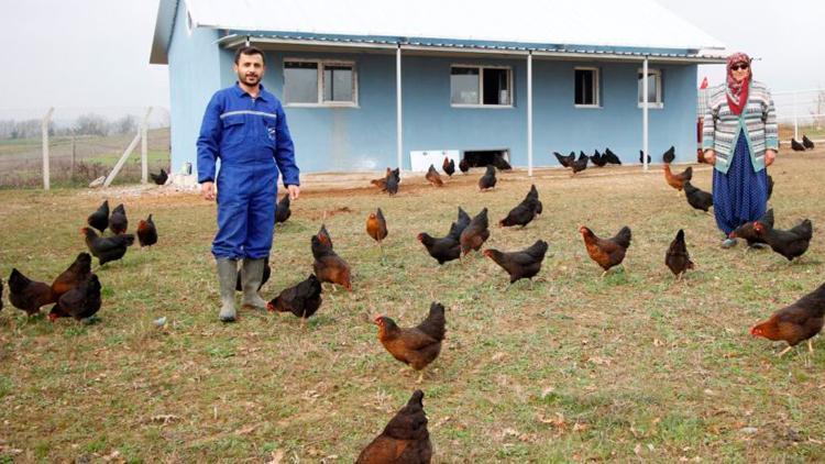 Kocaeli’nde genç çiftçilere hibe tavuk desteği