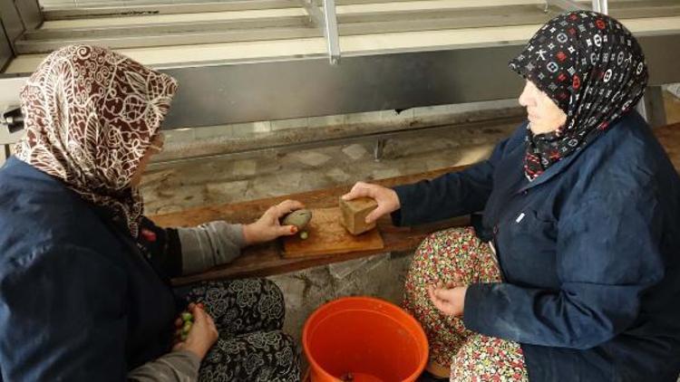 Balıkesirde kırma zeytin mesaisi