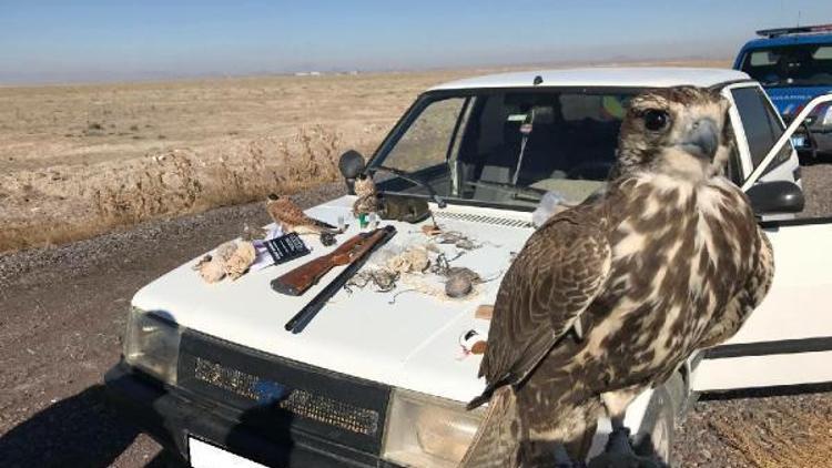 Niğde’de yasa dışı yırtıcı kuş avlayan 2 kişi  yakalandı