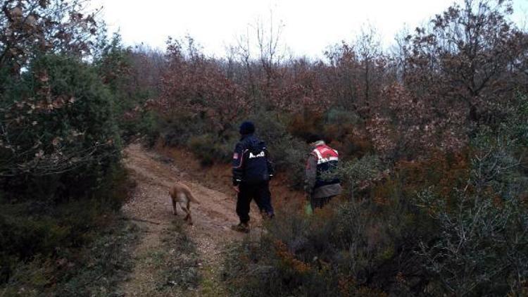 Mantar toplamak için evden çıkıp kaybolan kadın bulundu