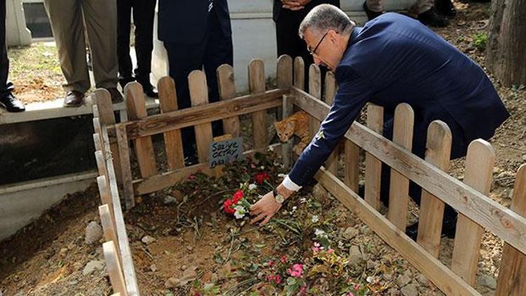 Cumhurbaşkanı Yardımcısı Oktay annesinin kabrini ziyaret etti