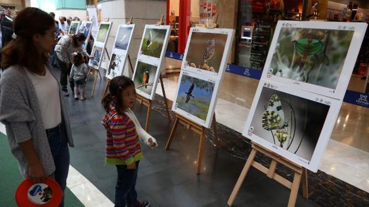 Foto Safari yarışmasında dereceye giren fotoğrafçılar ödüllendirildi