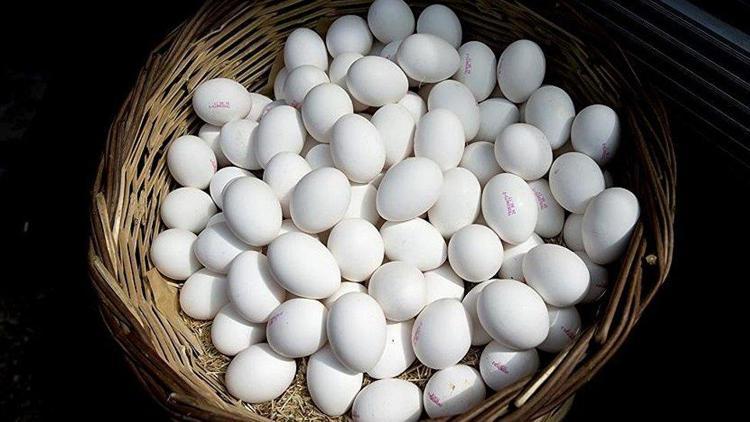 Yumurta üreticilerinden indirim uyarısı