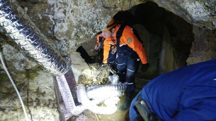 Jandarmadan kaçak kazı yapanlara suçüstü: 5 gözaltı