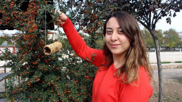 AHBAP üyeleri, kuşlar için ağaçlara yem astı