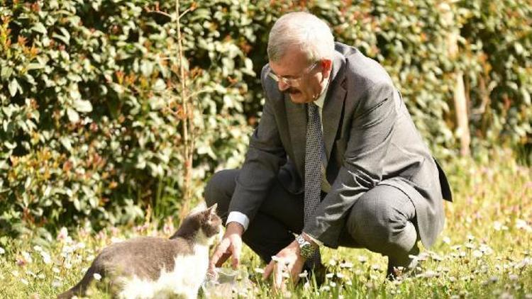 Prof. Dr. Erdöl: Cumhurbaşkanı milletin vicdanının sesi oldu