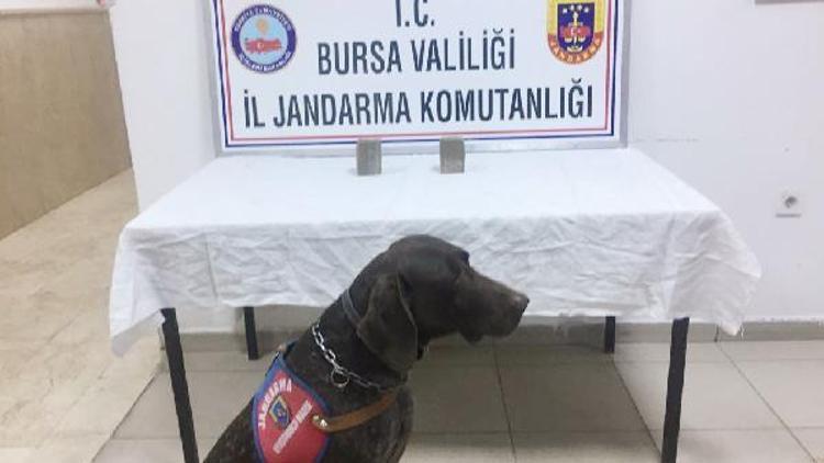 Varis esrarı buldu, 4 kişi gözaltına alındı