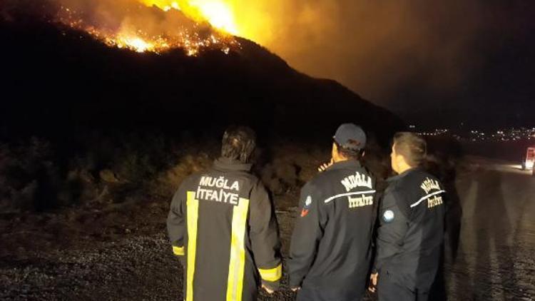 Bodrumda çıkan yangında 5 hektarlık makilik alan kül oldu