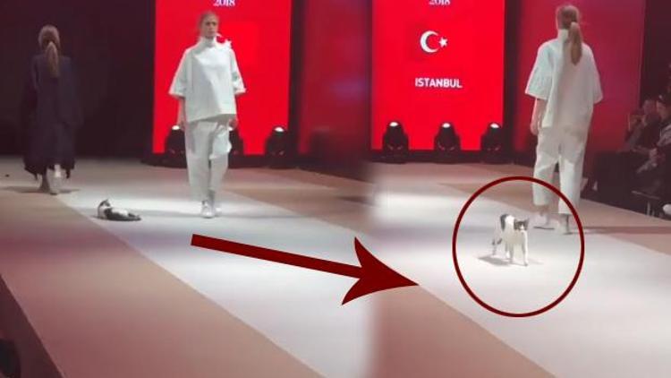 Catwalk yürüyüşü böyle yapılır