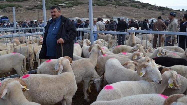 Salihli ve Kulada hayvan pazarları giriş ve çıkışlara kapatıldı