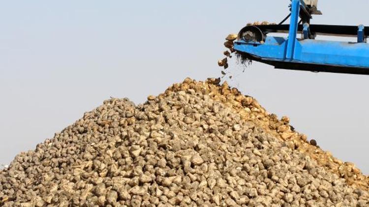 Burdur Şeker Fabrikası 300 milyon TLlik katma değer sağlayacak