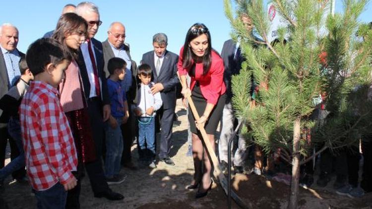 Niğde’de 95. Yıl Cumhuriyet Ormanı oluşturuldu