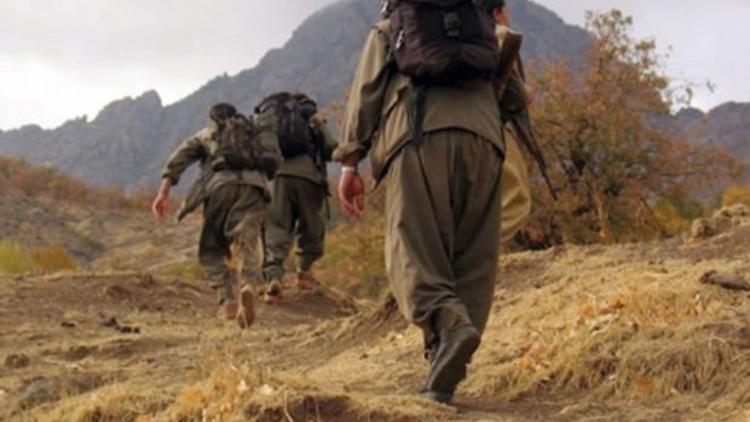 Hakkaride terör operasyonu: 2 PKKlı terörist öldürüldü