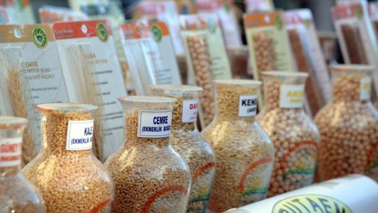Diyarbakırda çiftçilere sertifikalı tohum dağıtıldı