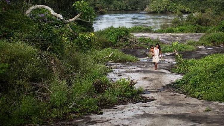 Nature: Dünyadaki insan eli değmemiş bölgeler yok oluyor