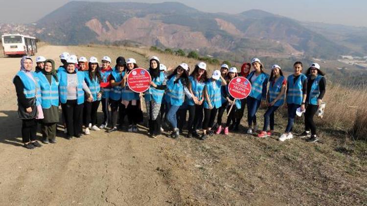 Yalova’da öğrenciler, KYK Ormanına fidan dikti