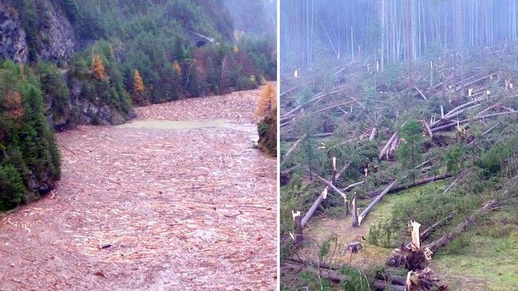 İtalya’da fırtına: 20 kişi öldü, 14 milyon ağaç devrildi