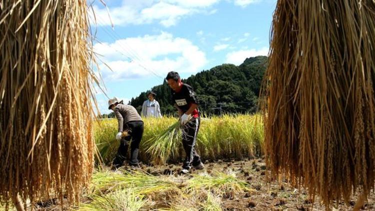 Japonya işçi göçünü kolaylaştırmaya hazırlanıyor