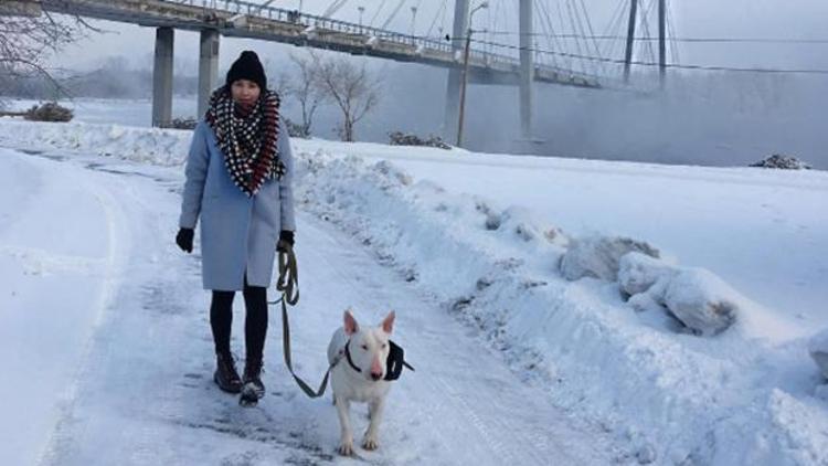 Kayboldukları ormanda sahibini kurtaran kahraman köpek hayatını kaybetti